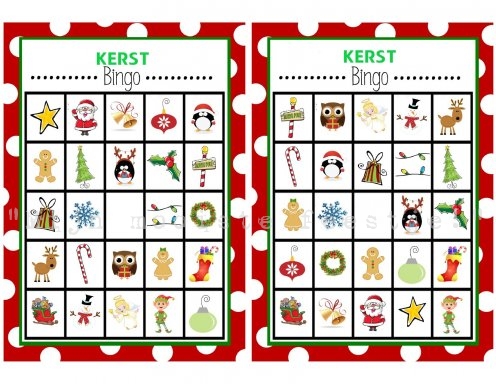 erven borstel Souvenir kerst bingo