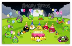 Angry birds feest